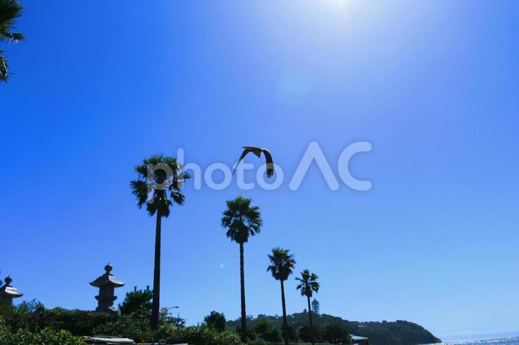 江ノ島の海５ サーフィン,夏,景色の写真素材
