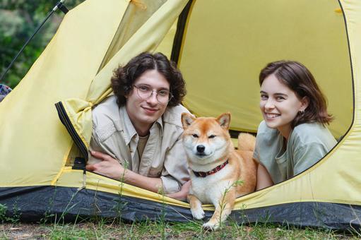 テントの入口から顔を出す犬と人物 男女,外国人,犬の写真素材