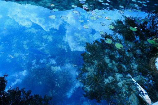 モネの池に反射する夏雲 モネの池に反射する夏雲 モネの池,水面,反射の写真素材