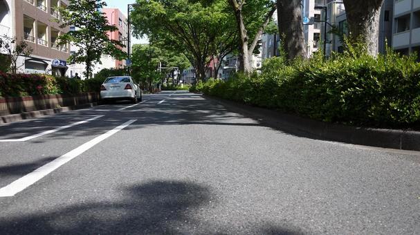街道 街道の写真