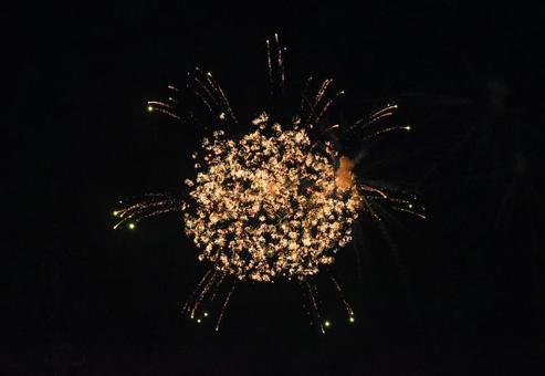 本物の花のような花火 本物の花のような花火の写真