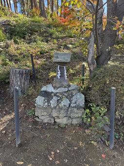 小坂田の祠（水神） 小坂田,水神,祠の写真素材