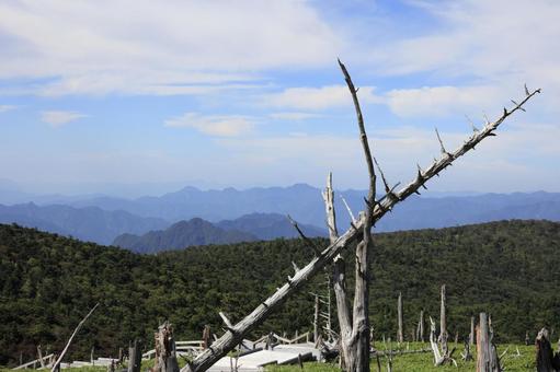 大台ケ原　正木峠 大台ケ原,立ち枯れ,奈良県の写真素材