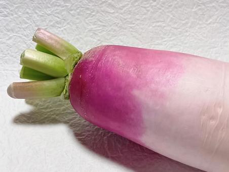 ミニ大根　あやめっ娘の写真