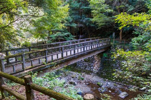静岡県浜松市　秋の仙厳の滝　遊歩道 日本,静岡県,浜松市の写真素材