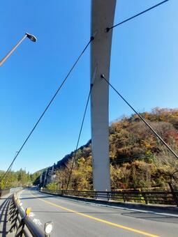 新矢柄橋のアーチ橋を支えるワイヤー 新矢柄橋,アーチ橋,ワイヤーの写真素材