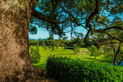 【島根】国宝松江城の写真