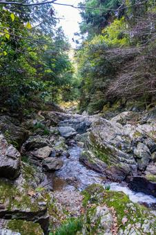 静岡県浜松市　秋の仙厳の滝　渓谷 日本,静岡県,浜松市の写真素材