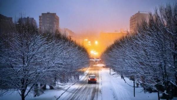 大雪 大雪の写真