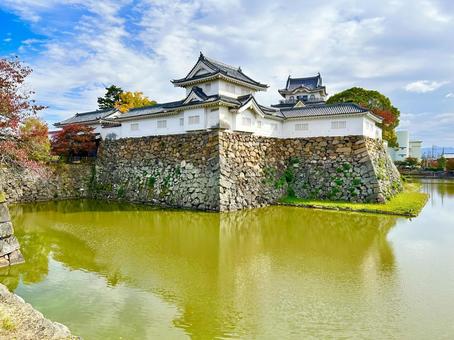 岸和田城 大阪,大阪府,岸和田の写真素材