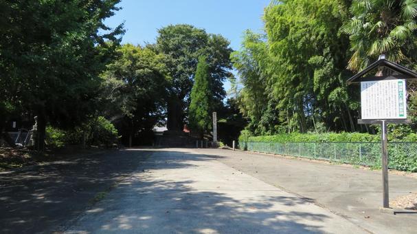 蜂須賀城 城跡の風景 蜂須賀城 城跡の風景の写真