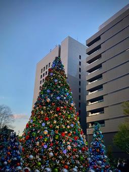 クリスマスツリー クリスマスツリー,東京,日比谷の写真素材