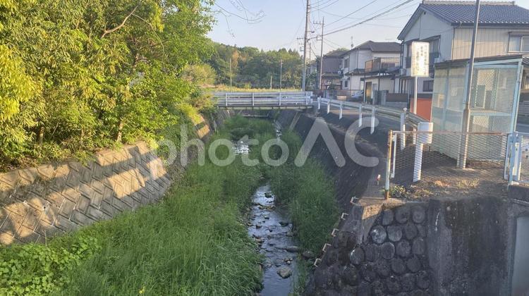 細流のある風景 細流,小川,自然の写真素材