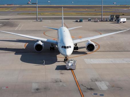 真正面から見た航空機ボーイング787-8 飛行機,旅客機,ジェット機の写真素材