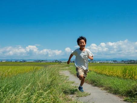 のどかな田んぼ道を走る男児 のどかな田んぼ道を走る男児の写真
