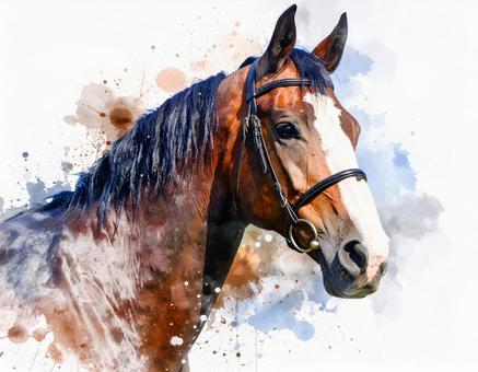 水彩画風の馬 水彩画風の馬の写真