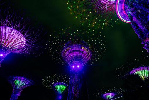 【シンガポール】ガーデンズバイザベイの写真