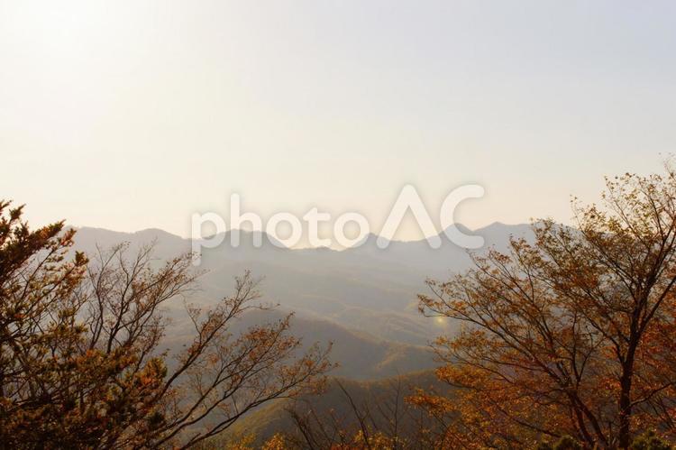 秋の夕暮れ 秋,風景,木の写真素材