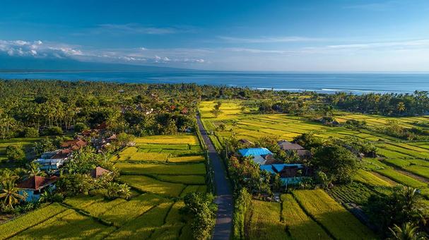 島の緑豊かな大地 島の緑豊かな大地の写真