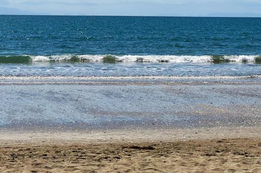 ニュージーランドの海を砂浜から見る 自然,ニュージーランド,オークランドの写真素材