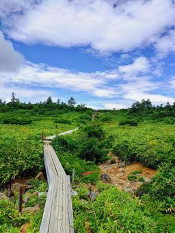 福島 鎌沼の木道歩き③ 木道,鎌沼,湖沼歩きの写真素材