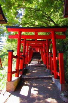 島根県-太鼓谷稲成神社-表参道-千本鳥居 島根県-太鼓谷稲成神社-表参道-千本鳥居 太鼓谷稲成神社,神社,表参道の写真素材