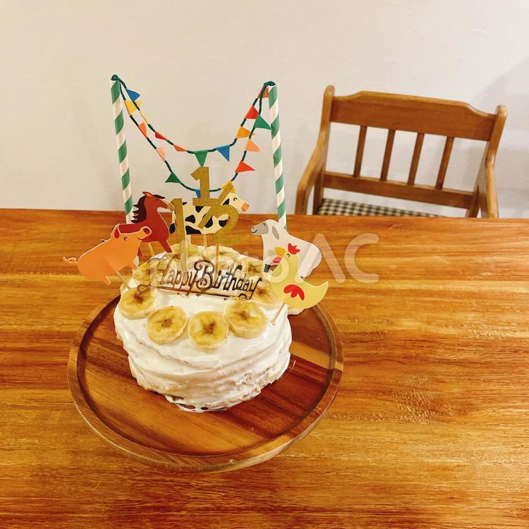 1歳半記念 1歳半,記念日,お祝いの写真素材