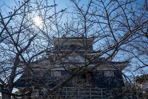 浜松城 浜松城 浜松城,castle,天守閣の写真素材