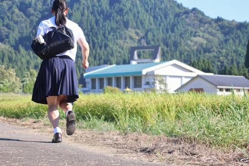 学校まであと少し 学校まであと少し 田園風景,校舎,稲穂の写真素材