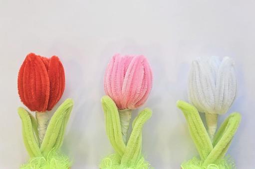 モールチューリップRPW チューリップ,ピンク,赤の写真素材