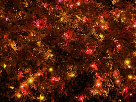 イルミネーション イルミネーション イルミネーション,赤,レッドの写真素材