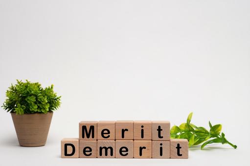 Photo, merit, demerit, disadvantage, 