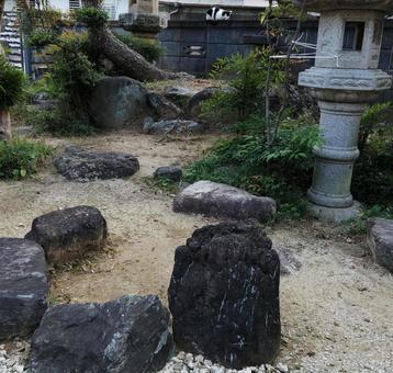 猫ちゃんを探せ! 猫,庭,木の写真素材