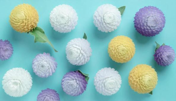 夏から秋の花 センニチコウ 夏から秋の花 センニチコウの写真