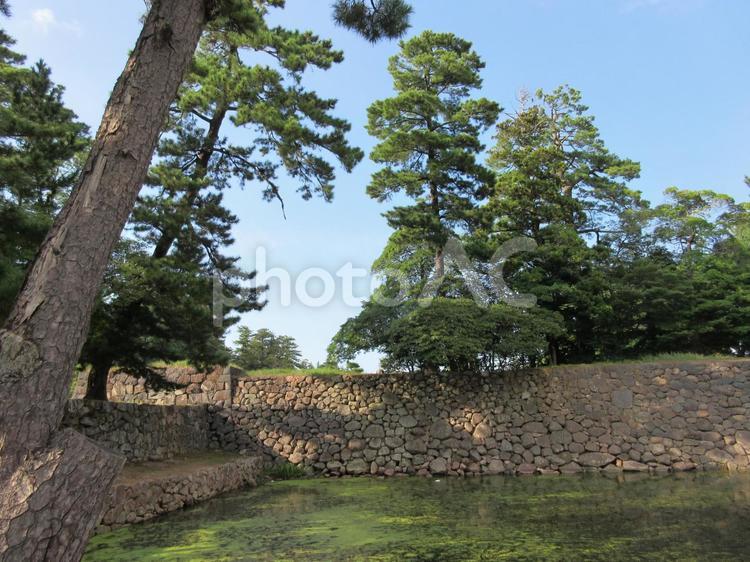 松江城のお堀 お城,松江城,お堀の写真素材