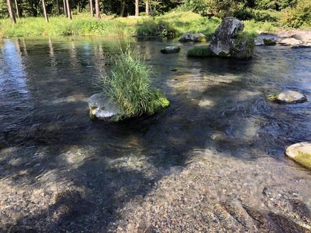 透きとおる川 透きとおる川 川,河,河川の写真素材