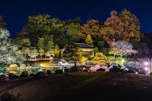 紅葉風景 紅葉風景,京都,二条城の写真素材