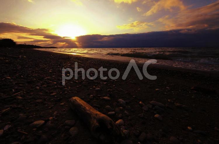 琵琶湖の浜の流木と夕空の景色です 琵琶湖,滋賀県,湖の写真素材