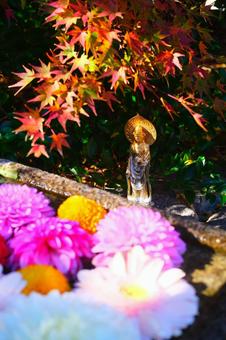 紅葉と花 紅葉と花の写真