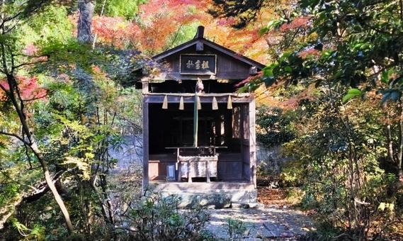 青葉神社・祖霊社（仙台市） 寺社,青葉神社,仙台市の写真素材
