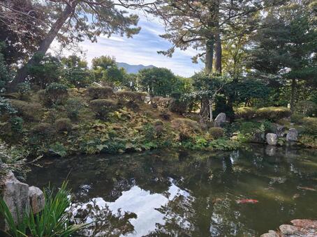 福井県-柴田氏庭園 柴田氏庭園,国指定名勝,野坂山の写真素材
