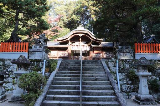 鷺森神社　本殿 鷺森神社,本殿,さぎのもりじんじゃの写真素材