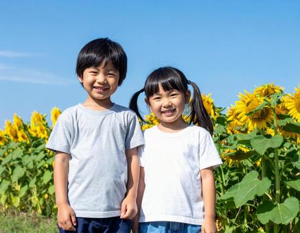 ひまわり畑と子供と青空 ひまわり畑と子供と青空の写真