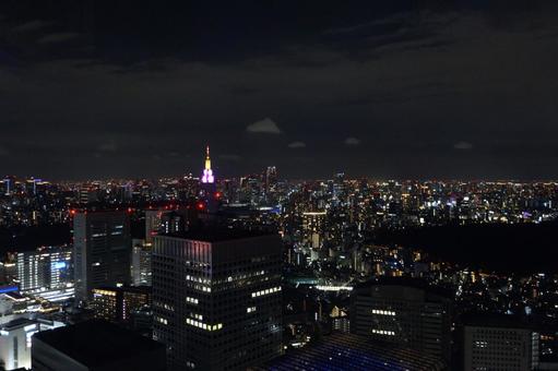 東京都庁から見た夜景の街並み1 東京都庁から見た夜景の街並み1の写真