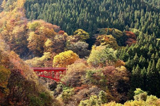 紅葉　松川渓谷　赤い橋 山,秋,風景の写真素材