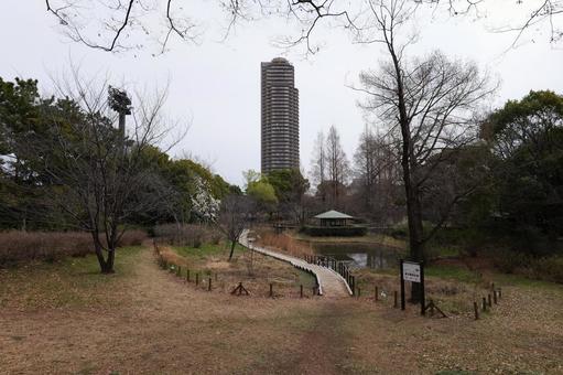 Photo, sarue onshi park, tokyo, park, 