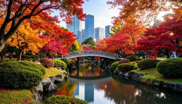 秋の紅葉 秋の紅葉の写真
