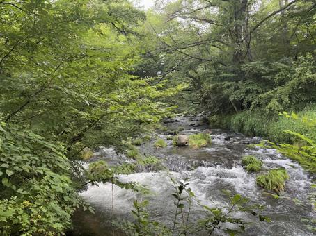 川 川の写真