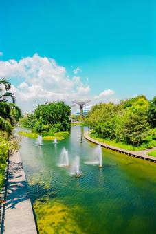 【シンガポール】スーパーツリー シンガポール,ベイフロント,singaporeの写真素材