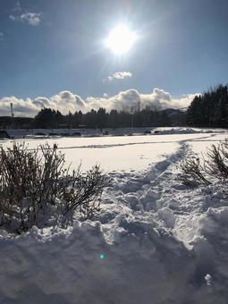 雪海雲海 雪,冬,晴れの写真素材